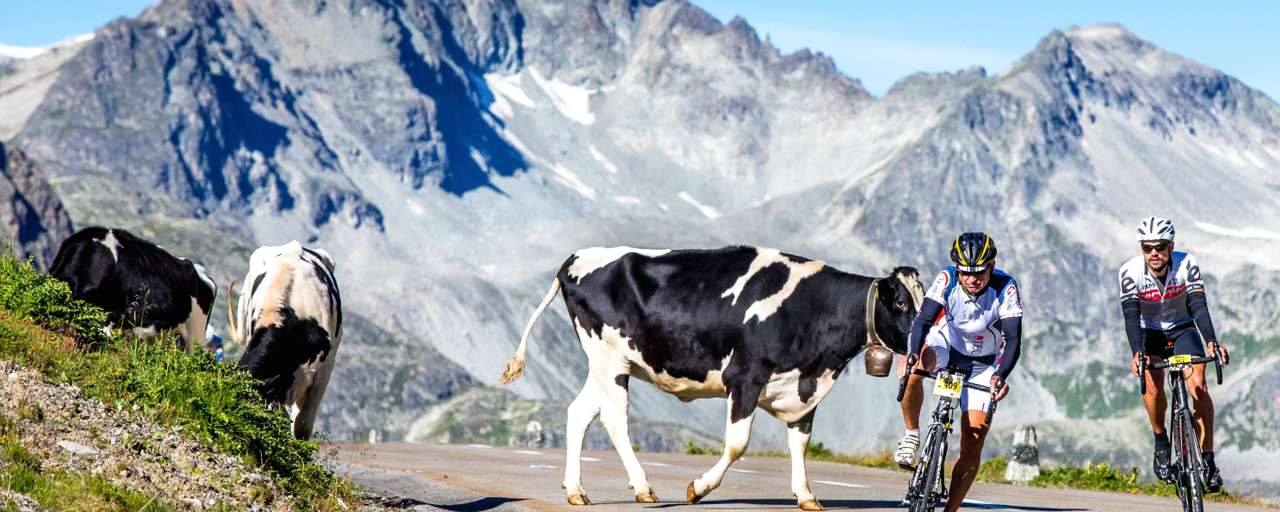 Teilnehmer der Alpen Challenge am Albulapass.