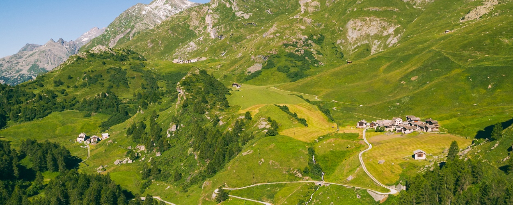 Grevasalvas, Blaunca