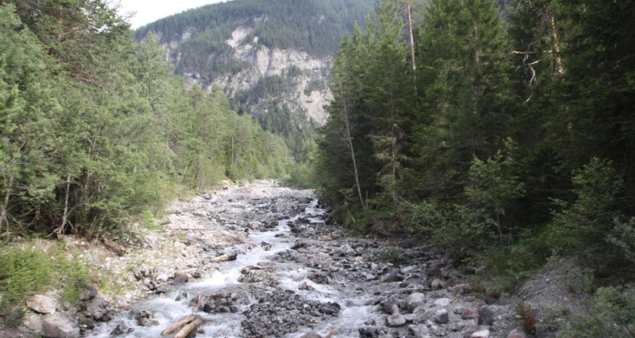 Albula und Schaftobelbach