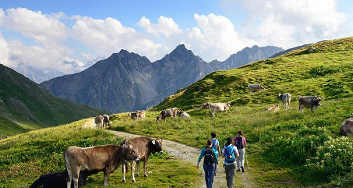 Am Septimerpass mit Blick ins Bergell Am Septimerpass mit Blick ins Bergell