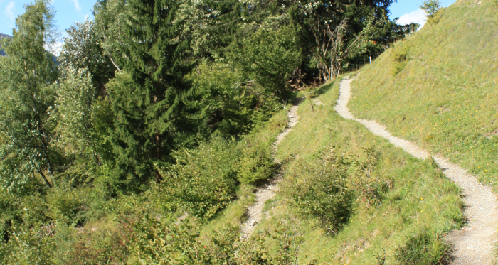 Etappe 13: Wanderweg ob Filisur Richtung Schönboden Etappe 13: Wanderweg ob Filisur Richtung Schönboden