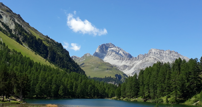 Palpuogna See