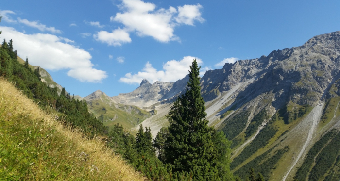 Val Tisch Val Tisch
