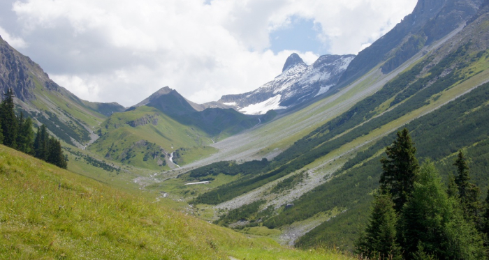 Val Tisch Val Tisch