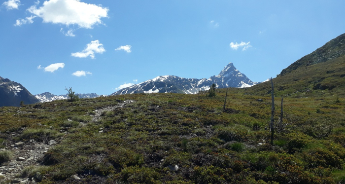 Panoramaweg