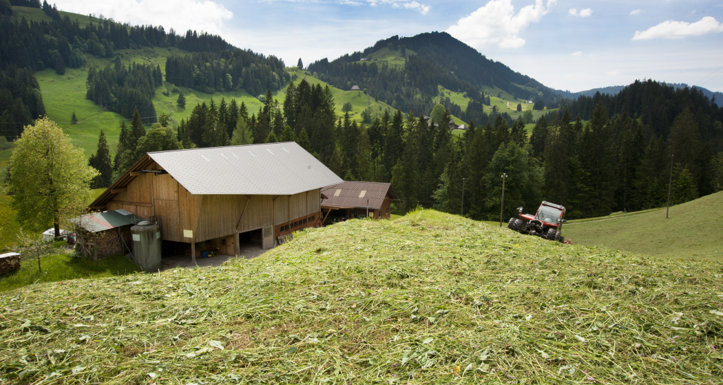 Zukunftsfähige Landwirtschaft in Graubünden (nsp_img_43df835)
