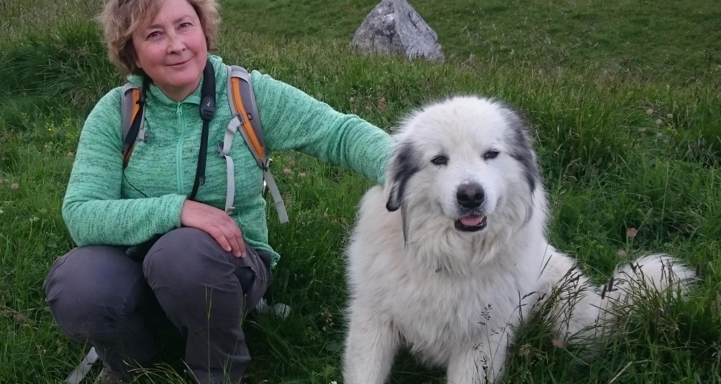 Buchvernissage: Die Alpen am Parc Ela Trek von Irene Schuler (nsp_img_921912b)