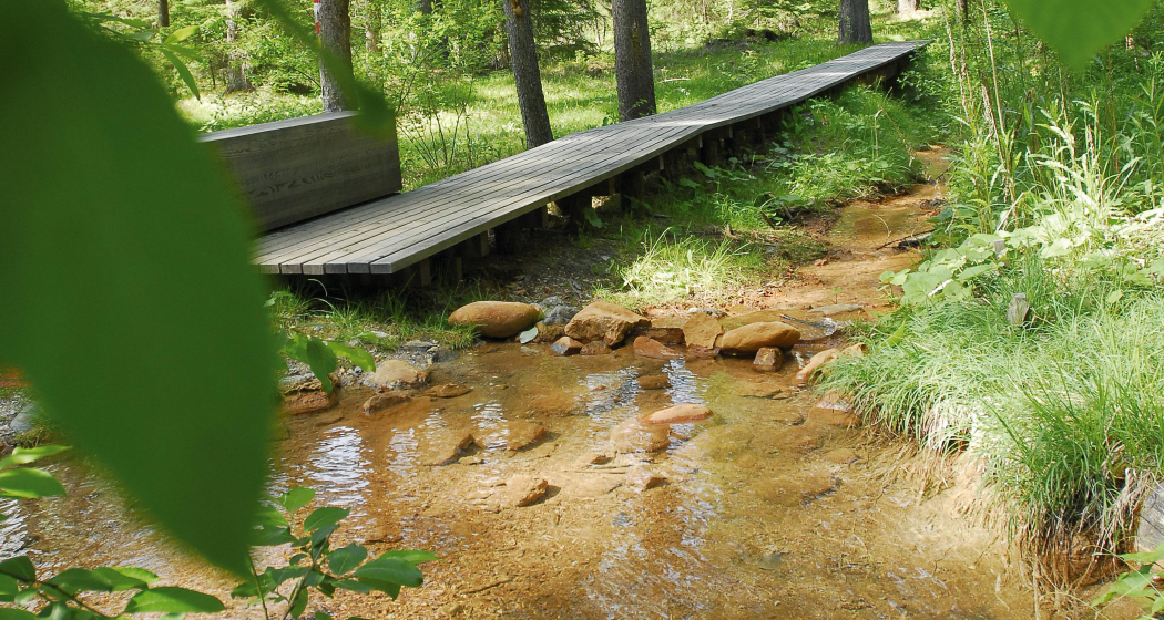 Quelle Arvadi Quelle Arvadi