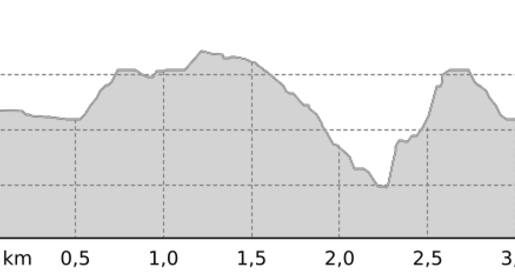 Bergwald-Wundertüte, Bivio (oua_14730791_4a91e42_profile) Bergwald-Wundertüte, Bivio (oua_14730791_4a91e42_profile)