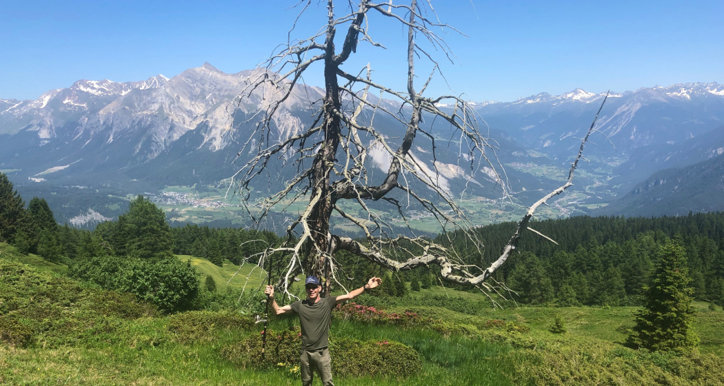 Tigia Alp Stierva (oua_40796920_image)