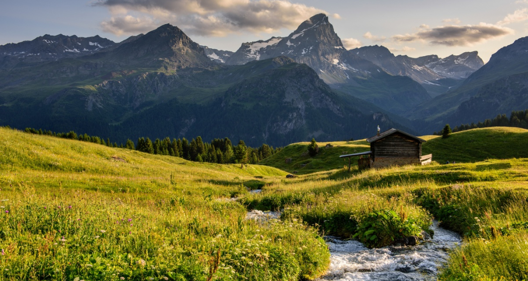 Auf der Alp Flix im Sommer Auf der Alp Flix im Sommer