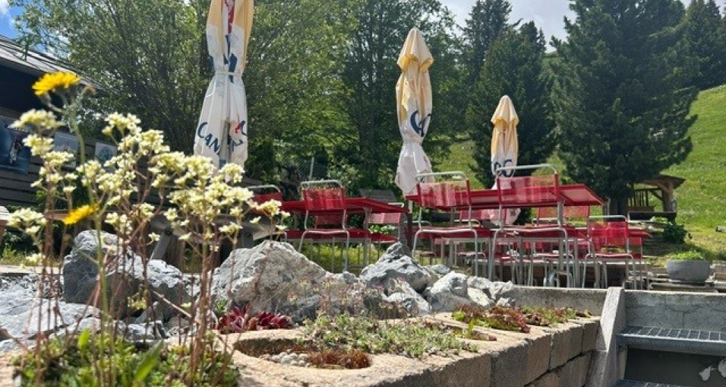 Restaurant Tigia (oua_600791385_image)