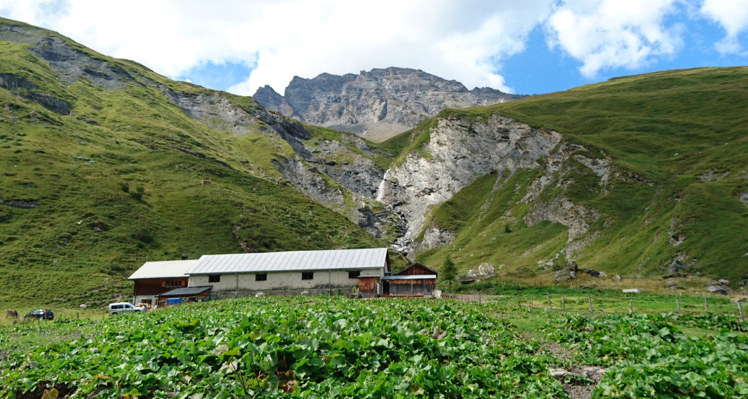 Etappe 2: Alp Foppa Etappe 2: Alp Foppa