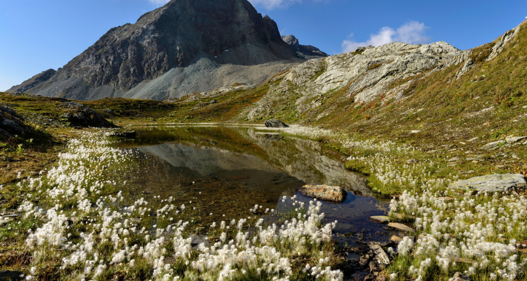 Etappe 5: Forcellina mit Piz Forcellina Etappe 5: Forcellina mit Piz Forcellina