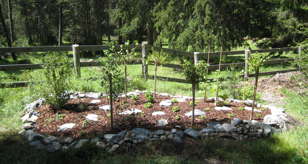 Insekten-Schaugarten Don Bosco