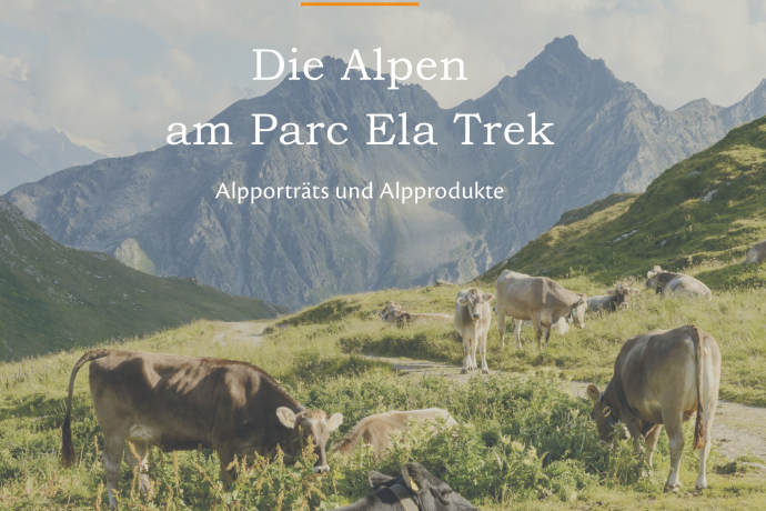 Buchvernissage: Die Alpen am Parc Ela Trek von Irene Schuler (nsp_img_051efa5)