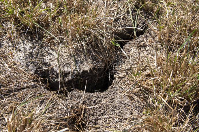 Zukunftsfähige Landwirtschaft in Graubünden (nsp_img_7888419)