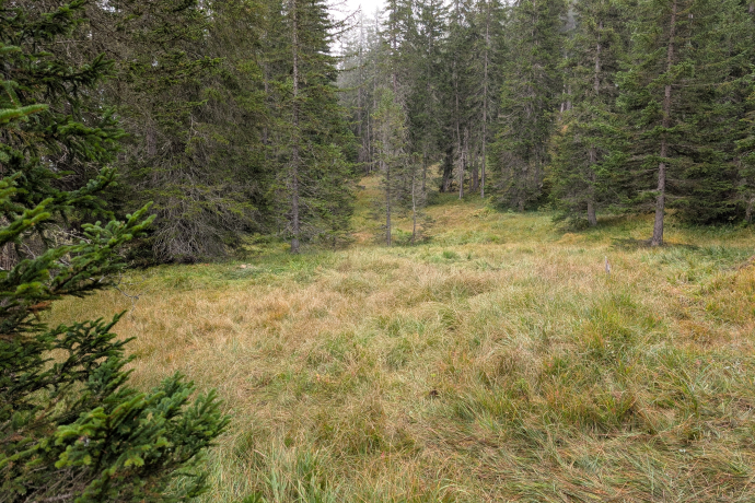 Hexenverfolgung im Surses (nsp_img_a70fe96)