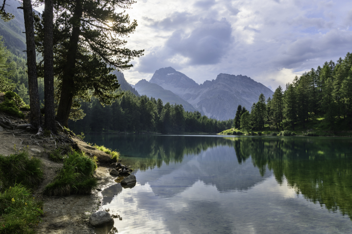 Unterwegs mit dem Parc Ela-Ranger (nsp_img_b6462ca)