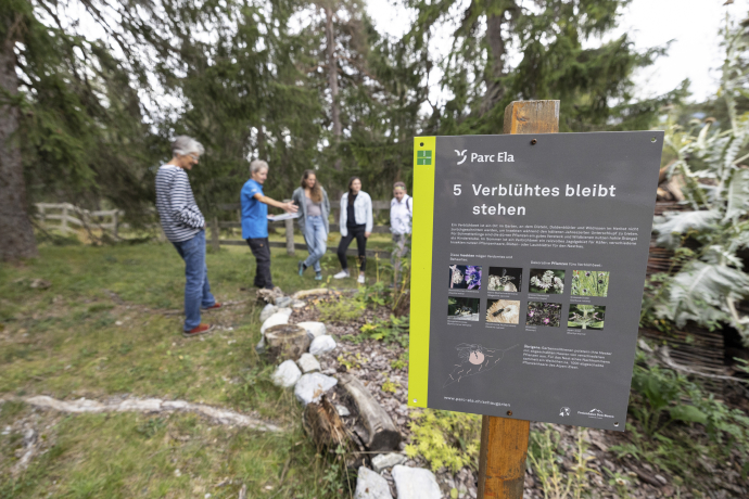 Biodiversität und Insekten (nsp_img_e344ee0)