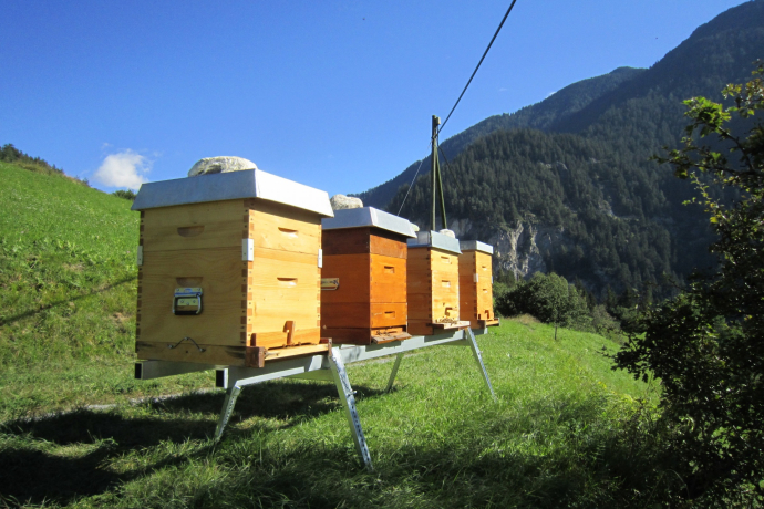 Imker Meltger Devonas / Honig Imker Meltger Devonas / Honig