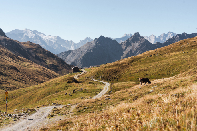 Wanderung auf der Via Sett von Capolago nach Casaccia über den Pass da Sett (Septimerpass) (oua_73743094_image)
