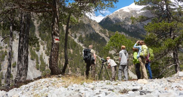 Birdwatching in Bergün mit Andi Kofler © Stefan Schlumpf Birdwatching in Bergün mit Andi Kofler © Stefan Schlumpf