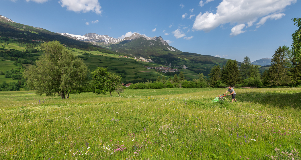 © lorenzfischer.photo