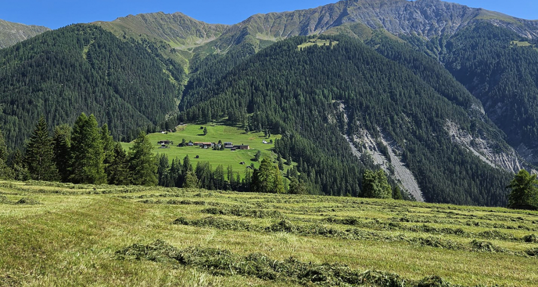 Rätselbild aus dem Newsletter