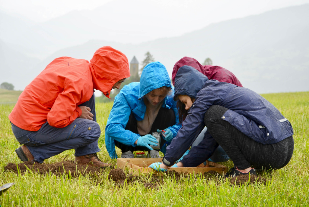 Lupenansicht eines Schmetterlings © Shutterstock