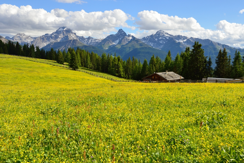 Wiesner Alp mit Piz Ela, Corn da Tinizong und Piz Mitgel © Lorenz A. Fischer