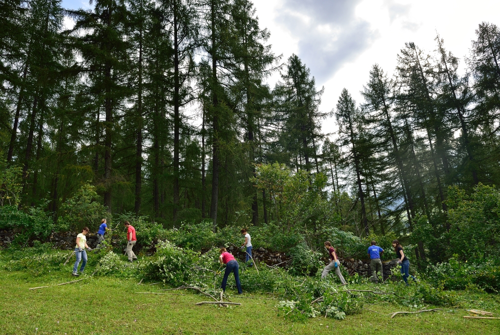 Natureinsatz im Parc Ela © Lorenz A. Fischer