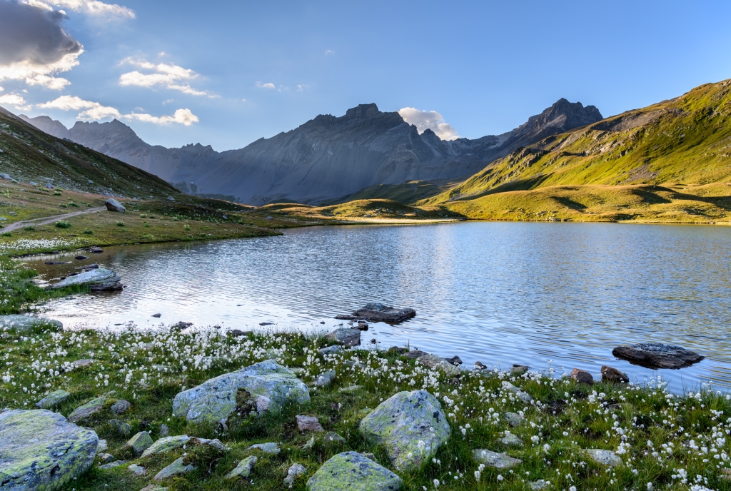 Ravais-ch © Lorenz A. Fischer