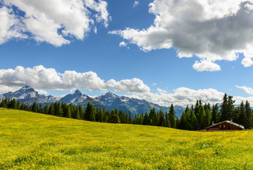 Wiesner Alp © Lorenz A. Fischer