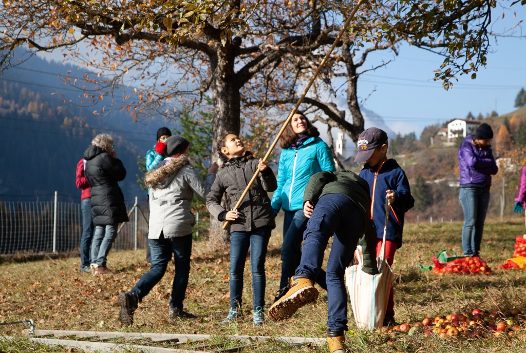 Bergobst-Ernte © Verein Parc Ela