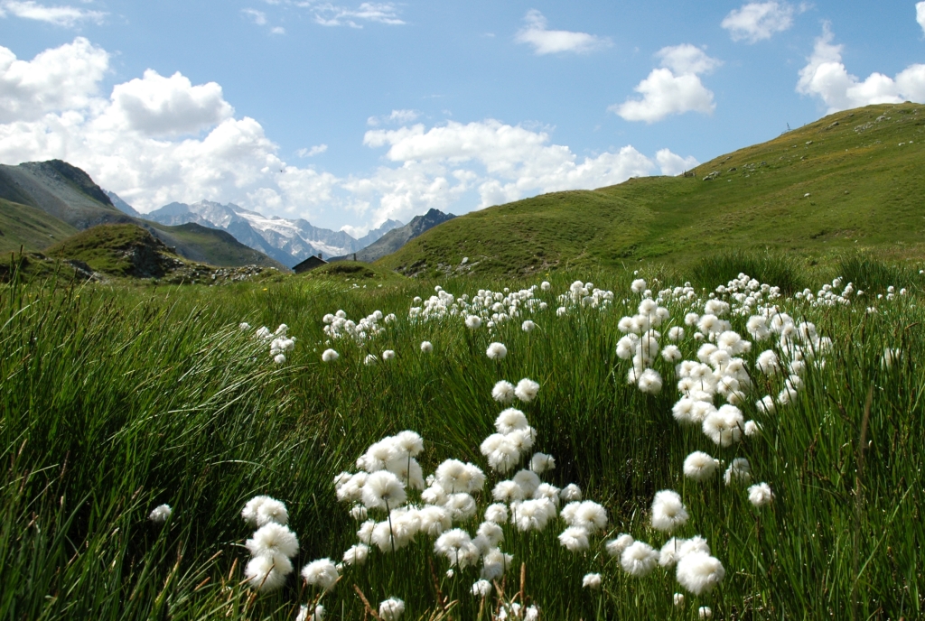 Impression von der Via Sett