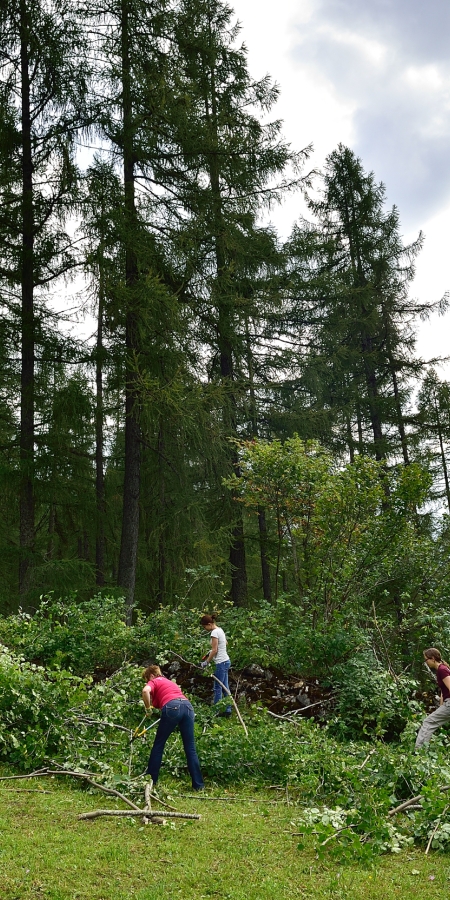 Natureinsatz im Parc Ela © Lorenz A. Fischer