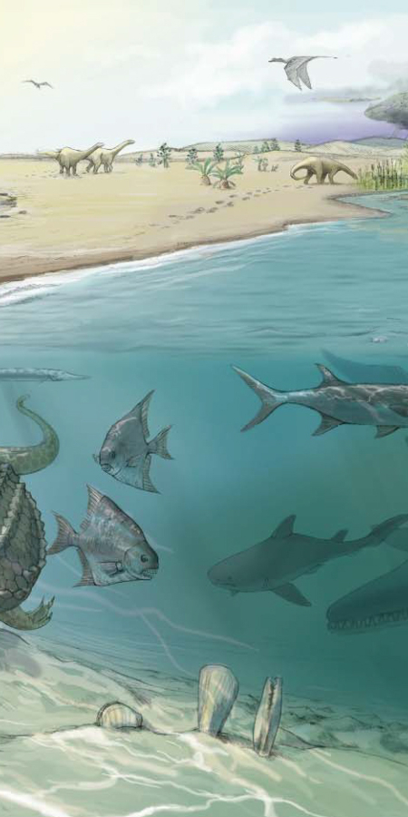 Ein riesiger Fischsaurier (rechts unten) sucht seine Beute im reich belebten Meer vor 205 Millionen Jahren © Jeannette Rüegg/Heinz Furrer Ein riesiger Fischsaurier (rechts unten) sucht seine Beute im reich belebten Meer vor 205 Millionen Jahren © Jeannette Rüegg/Heinz Furrer