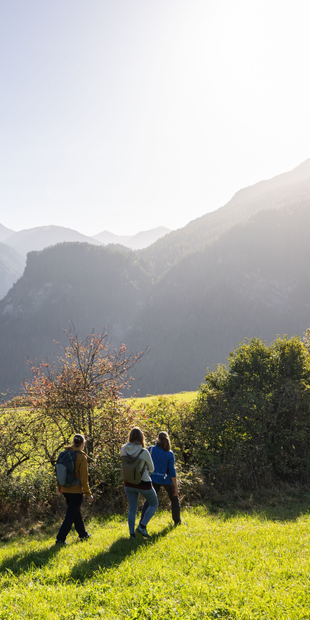 Heckenlandschaft Alvaneu © Sundroina Heckenlandschaft Alvaneu © Sundroina