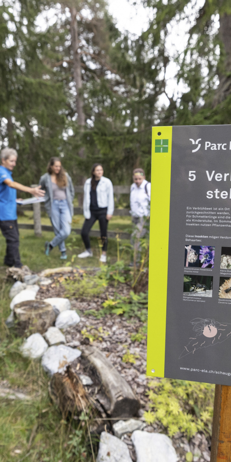 Informationstafel im Insektenschaugarten Don Bosco © Sundroina Pictures Informationstafel im Insektenschaugarten Don Bosco © Sundroina Pictures