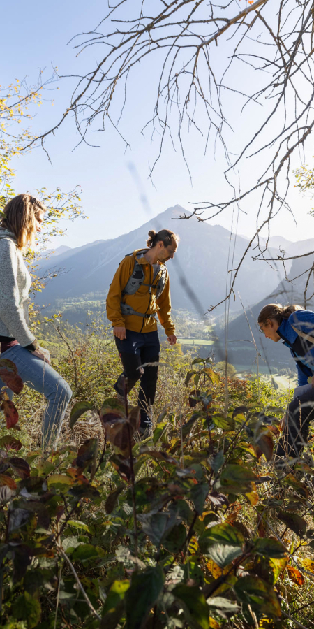 Vielfältige Heckenlandschaft im Parc Ela © Sundroina Pictures