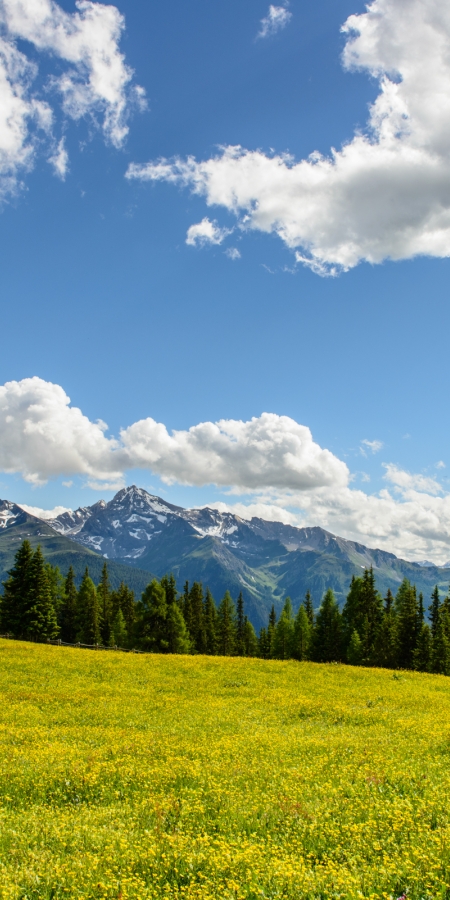 Wiesner Alp © Lorenz A. Fischer