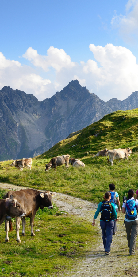 Septimerpass © lorenzfischer.photo Septimerpass © lorenzfischer.photo