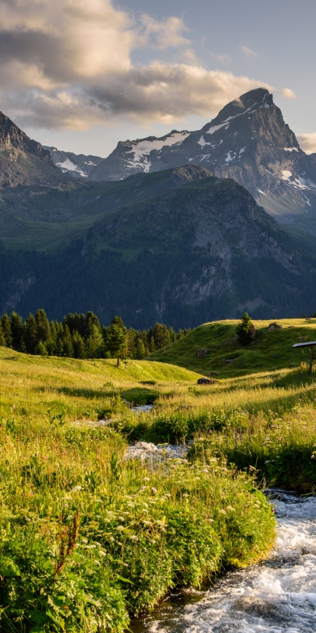 Moorlandschaft Alp Flix. © Lorenz A. Fischer