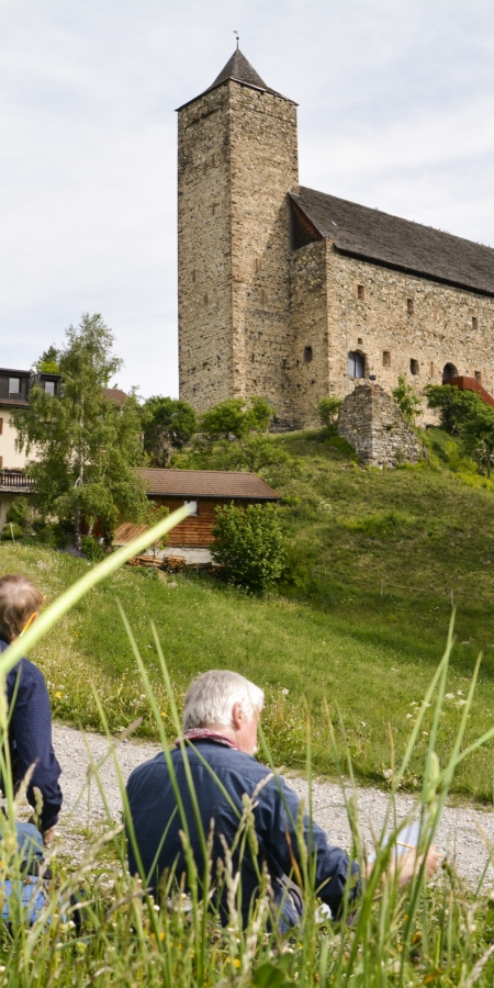 Dohlenexkursion in Riom © Verein Parc Ela