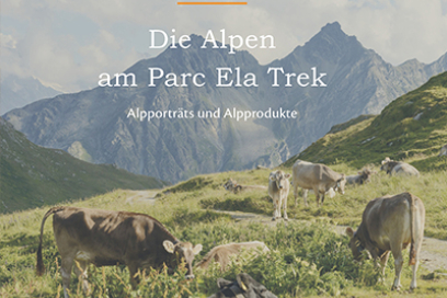 Die Alpen am Parc Ela Trek - das neue Buch