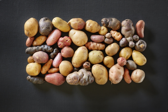 Kartoffeln Biohof las Sorts