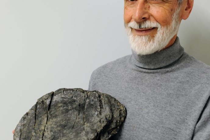 Heinz Furrer mit dem grössten Fischsaurier-Wirbel vom Fil da Stidier. Die geschätzte Länge des Tieres war ca. 20 Meter. © Rosi Roth/Uni Zürich Heinz Furrer mit dem grössten Fischsaurier-Wirbel vom Fil da Stidier. Die geschätzte Länge des Tieres war ca. 20 Meter. © Rosi Roth/Uni Zürich