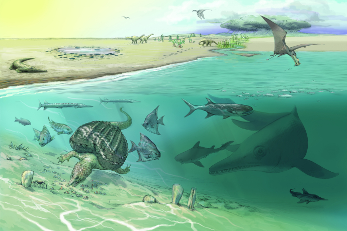 Ein riesiger Fischsaurier (rechts unten) sucht seine Beute im reich belebten Meer vor 205 Millionen Jahren. Illustration: Jeannette Rüegg/Heinz Furrer Ein riesiger Fischsaurier (rechts unten) sucht seine Beute im reich belebten Meer vor 205 Millionen Jahren. Illustration: Jeannette Rüegg/Heinz Furrer