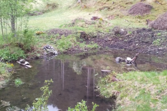 Freiwilligentag Amphibienweiher